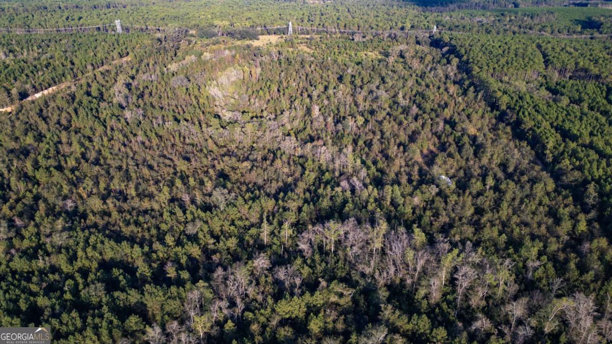 0 Morris Landing Baxley, GA 31513 - Photo 8 of 9 a view of a yard