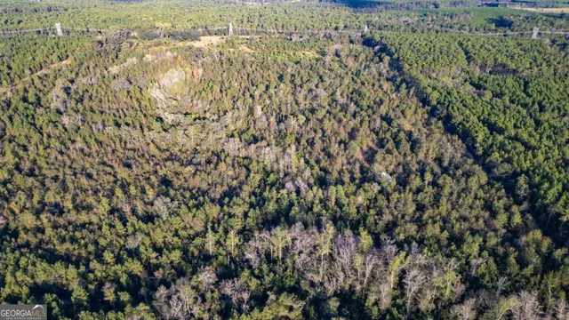 $209,250 | 0 Morris Landing, Baxley, GA 31513