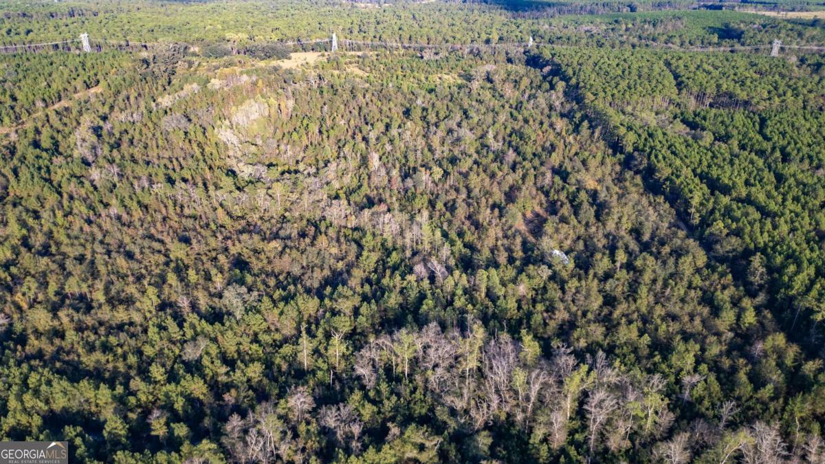 0 Morris Landing Baxley, GA 31513 - Photo 9 of 9