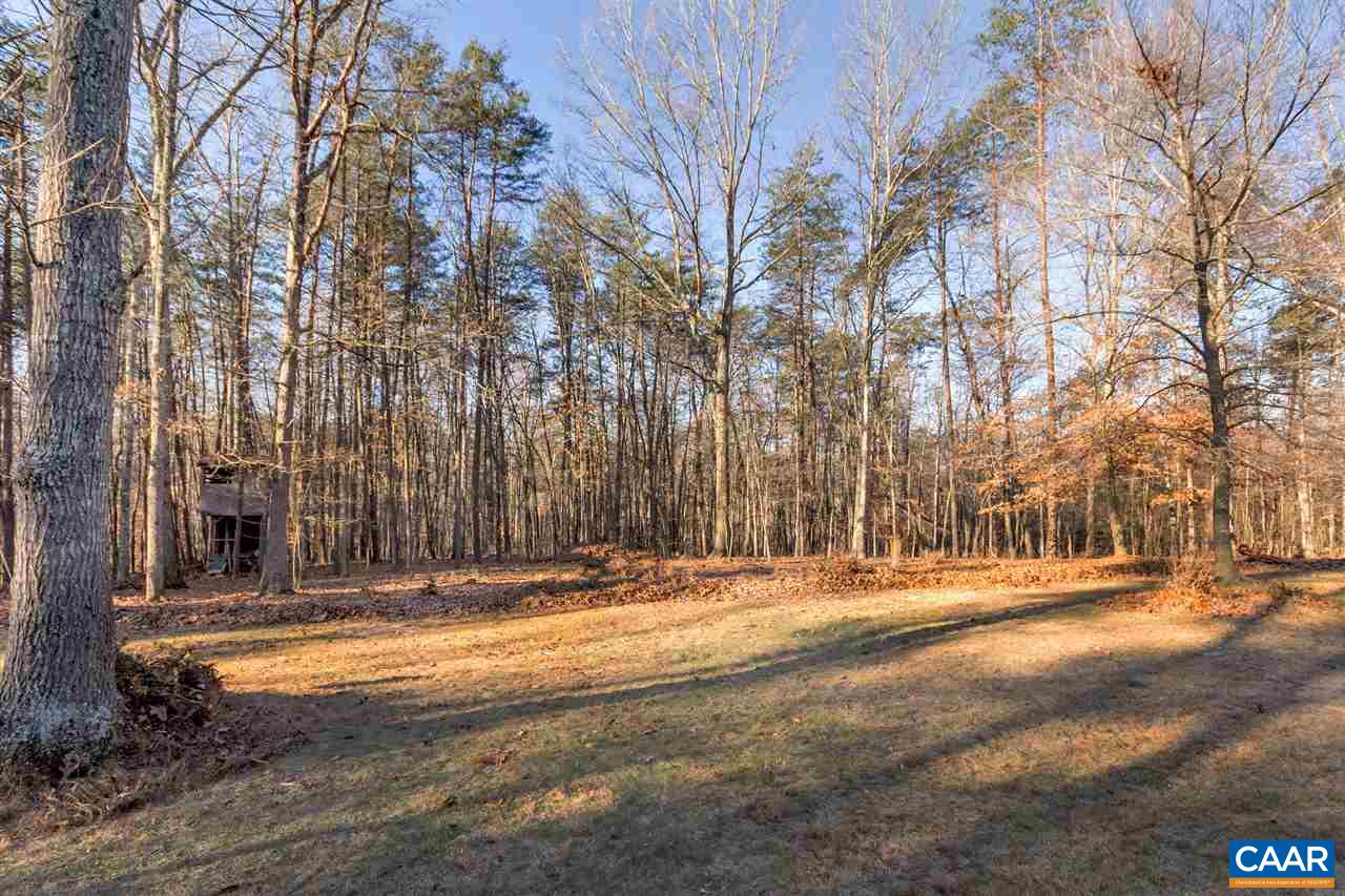 1065 Hunters Ridge Road Earlysville, VA 22936 - Photo 25 of 27 a view of street with large trees