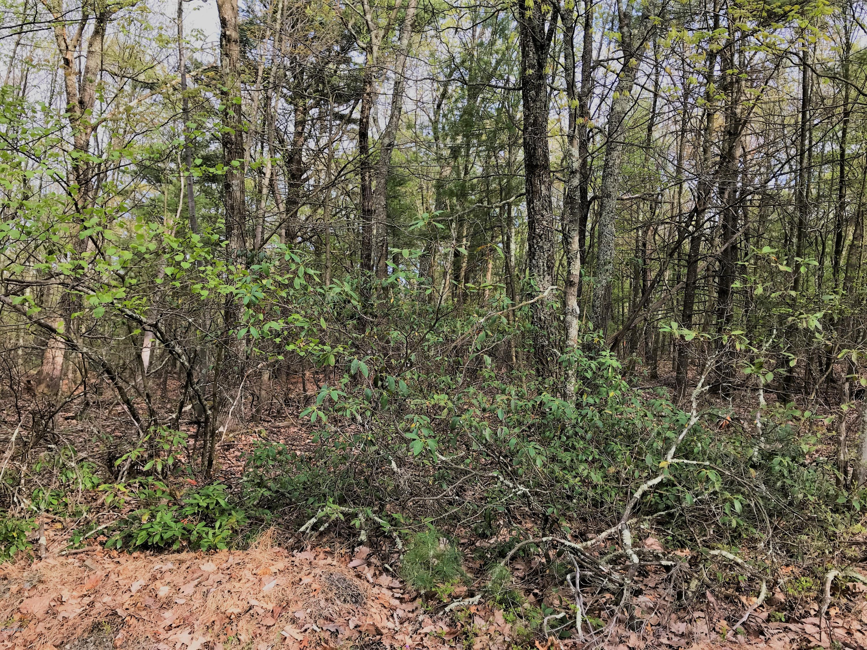 126 Nelson Road Milford, PA 18337 - Photo 6 of 8