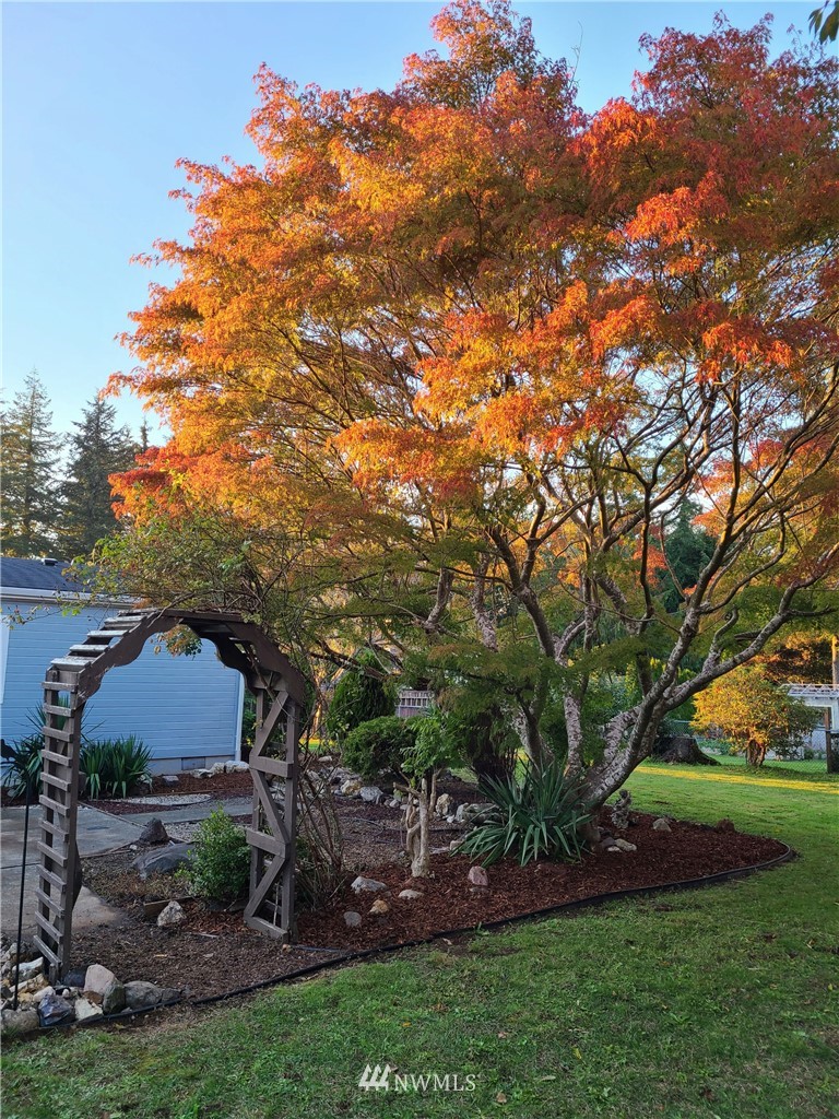 920 Park Road Aberdeen, WA 98520 - Photo 4 of 35 Gallery Image 4