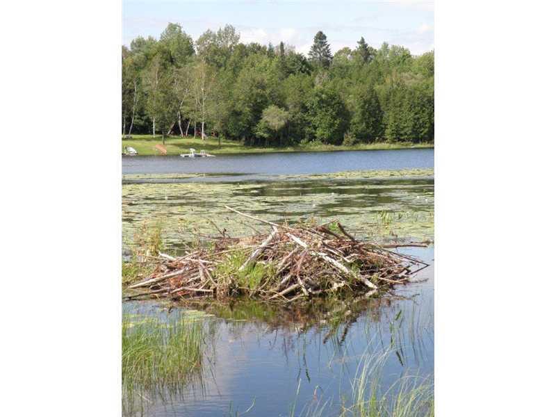Lot 5-6 Pullen Road Dexter, ME 04930 - Photo 16 of 18 Land/Lot. the pond
