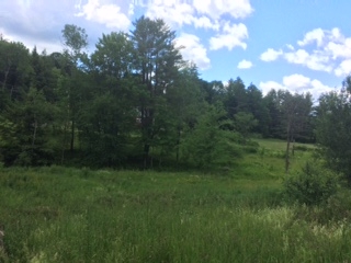 51 Bell Road Grafton, VT 05146 - Photo 14 of 37