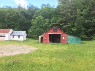 51 Bell Road Grafton, VT 05146 - Photo 8 of 37