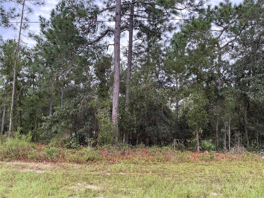 Southwest 133rd Street Road Ocala, FL 34473 - Photo 1 of 1 Gallery Image 1