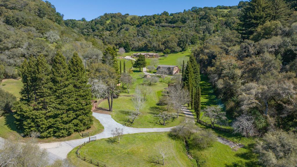 4575 Paul Sweet Road Soquel, CA 95073 - Photo 48 of 55 a view of a plant in a garden