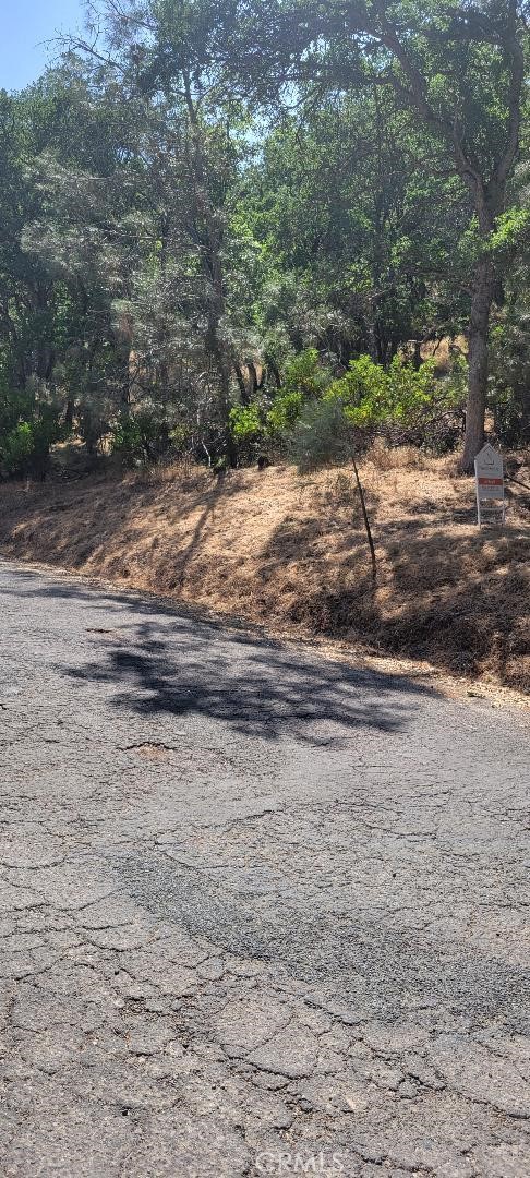 6151 Sunrise Drive Lower Lake, CA 95457 - Photo 11 of 14 a view of a yard