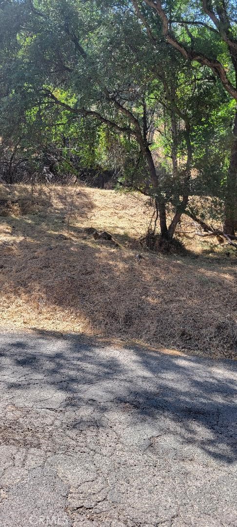 6151 Sunrise Drive Lower Lake, CA 95457 - Photo 12 of 14 a view of a yard with a tree