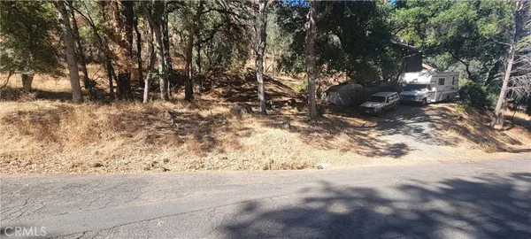a view of lots of trees