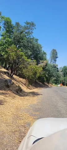 a view of a yard with an outdoor space