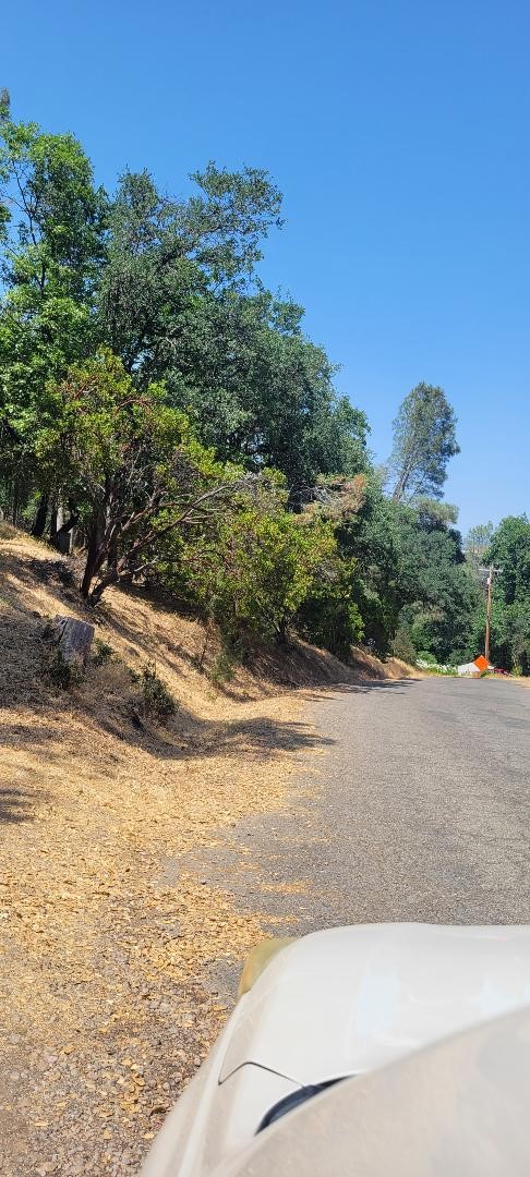 6151 Sunrise Drive Lower Lake, CA 95457 - Photo 6 of 14 a view of a yard with an outdoor space