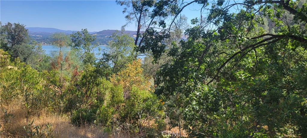 6151 Sunrise Drive Lower Lake, CA 95457 - Photo 7 of 14 a view of a forest