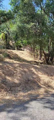 a view of road and yard