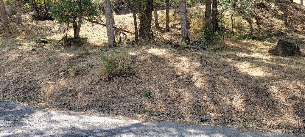 6151 Sunrise Drive Lower Lake, CA 95457 - Photo 10 of 14 a view of a yard with large trees