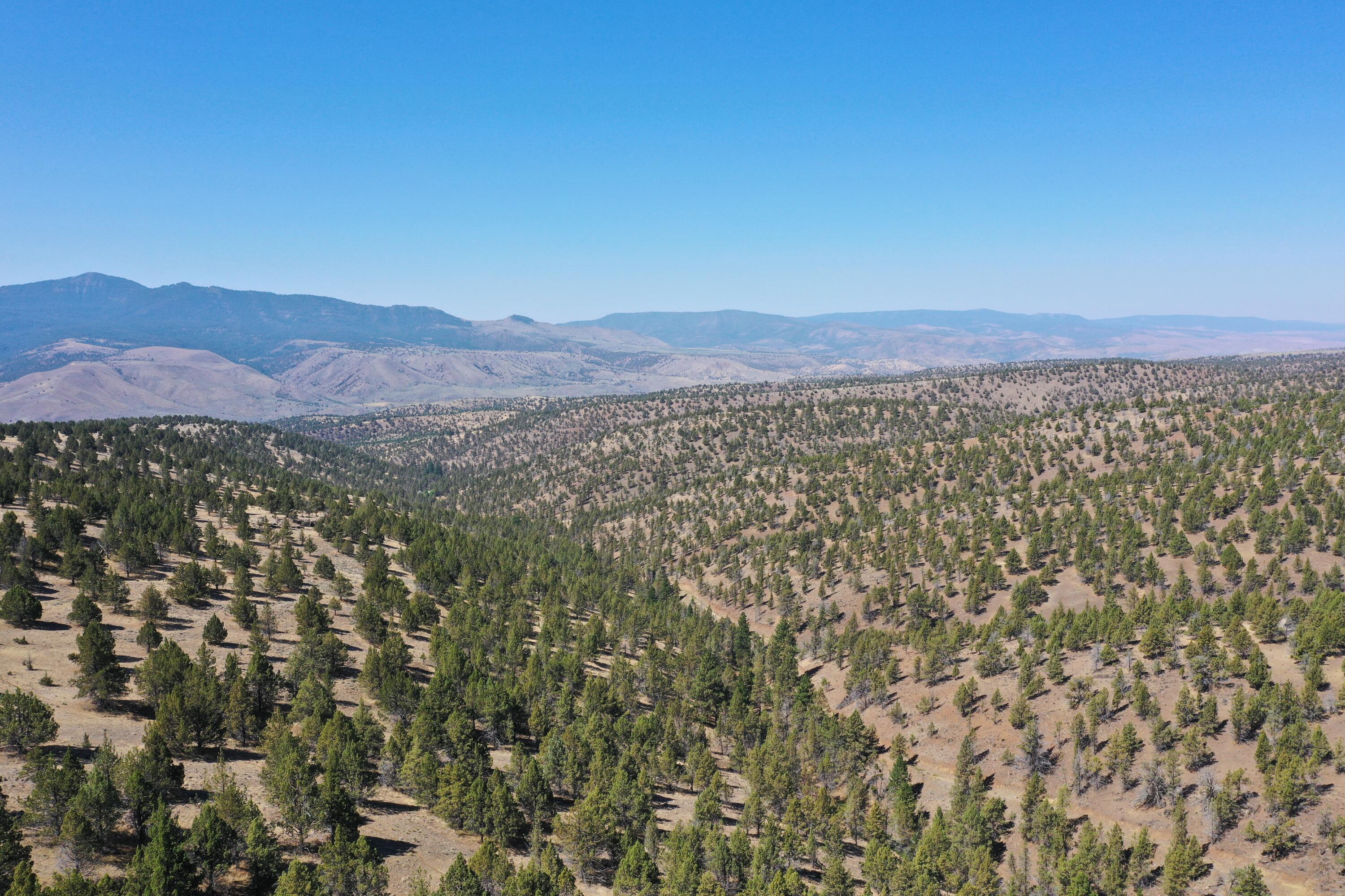2400 Wiley Creek Road Mount Vernon, OR 97865 - Photo 5 of 34 DJI_0401