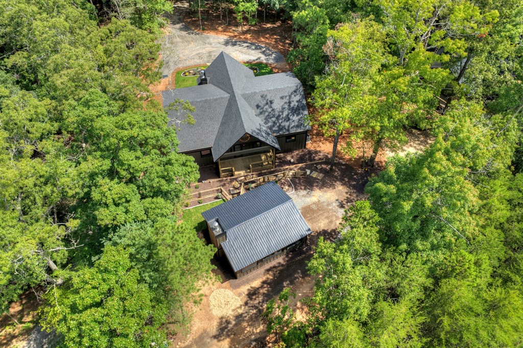 93 Silver Oaks Court Blue Ridge, GA 30513 - Photo 40 of 50 Gallery Image 40