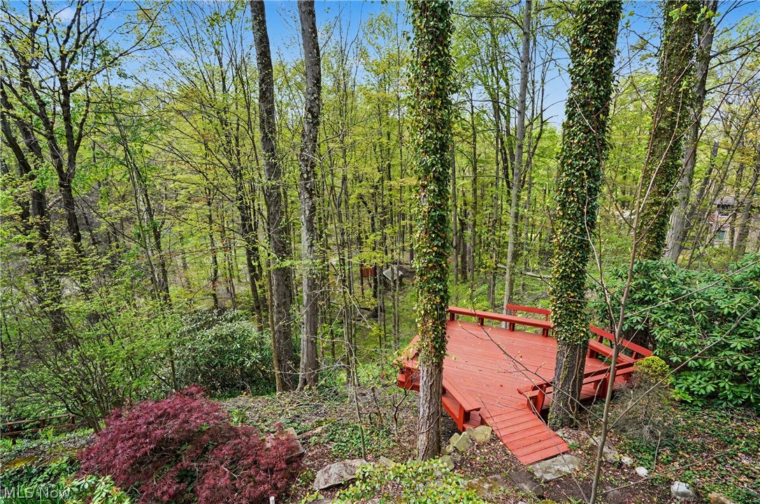 12376 Heath Road Chesterland, OH 44026 - Photo 38 of 50 Lower Level deck