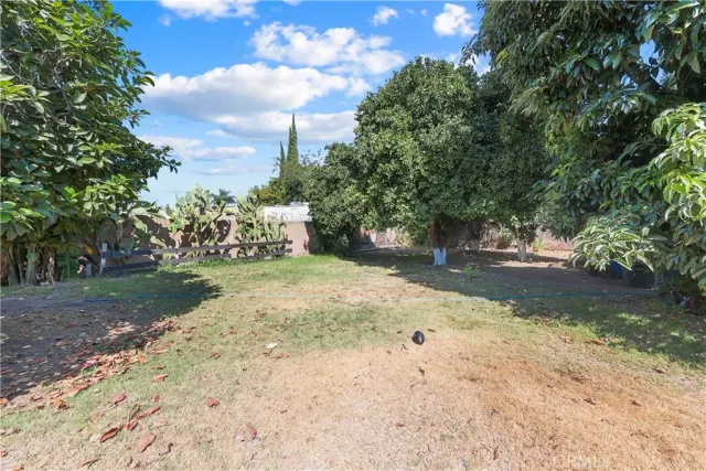 a view of yard with tree