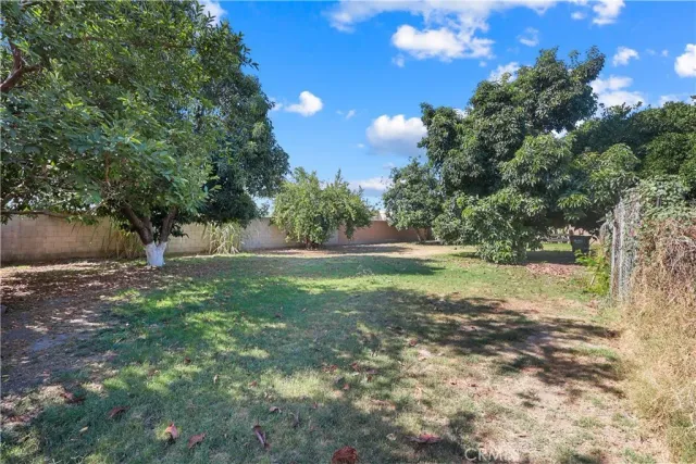 a view of backyard with green space
