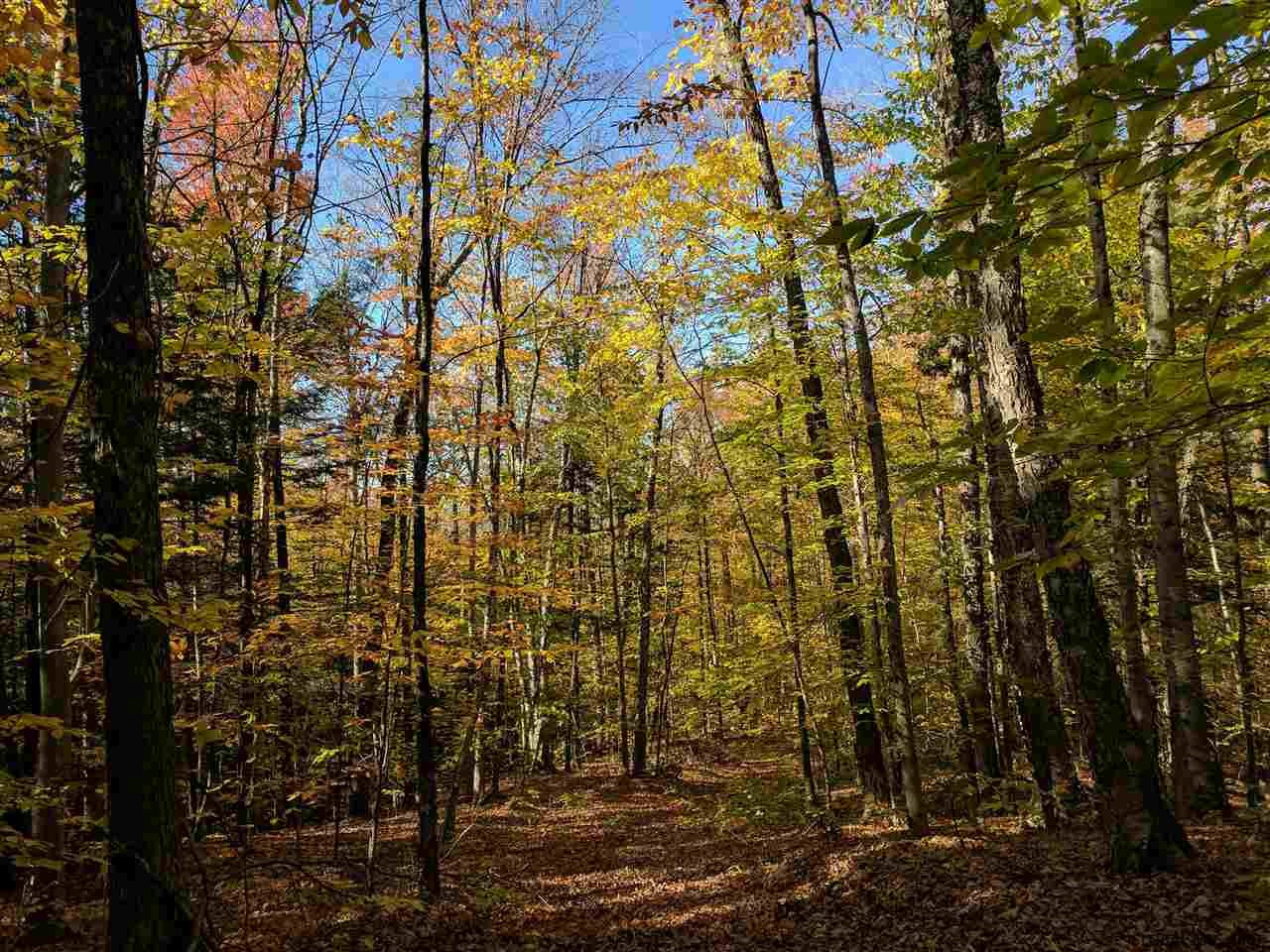 178 Frasier Road Hope, NY 12134 - Photo 31 of 42 Photo 31