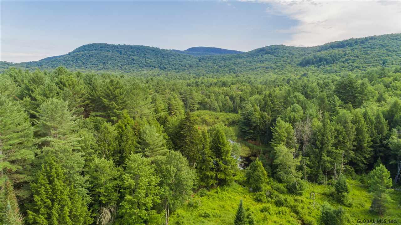 178 Frasier Road Hope, NY 12134 - Photo 41 of 42 Photo 41