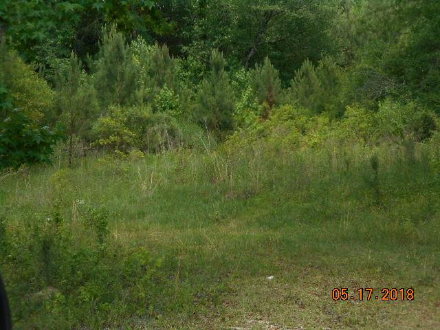 20 Berlie Dillon Road Tylertown, MS 39667 - Photo 1 of 1 Main View