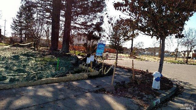 2028 Shelbourne Way Santa Rosa, CA 95403 - Photo 1 of 1 Existing trees that survived the fire. West view of cul-de-sac.