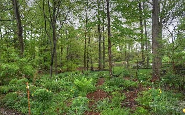 34700 Cedar Road Hunting Valley, OH 44040 - Photo 8 of 9 Gallery Image 8