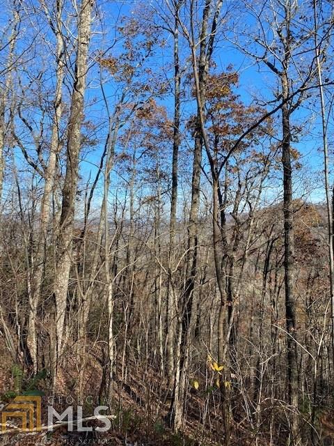 0 Walnut Mountain Road Rabun Gap, GA 30568 - Photo 1 of 1 a view of a yard with plants and trees