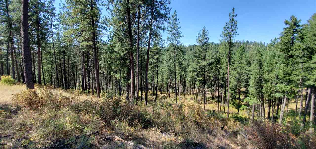 190-xx North Holcomb Road Mead, WA 99021 - Photo 1 of 16