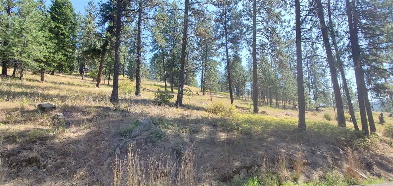 190-xx North Holcomb Road Mead, WA 99021 - Photo 2 of 16