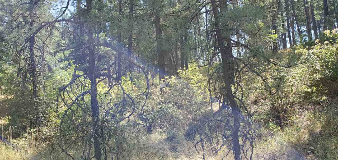 190-xx North Holcomb Road Mead, WA 99021 - Photo 11 of 16