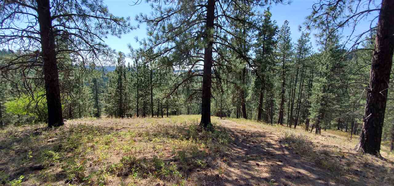 190-xx North Holcomb Road Mead, WA 99021 - Photo 13 of 16