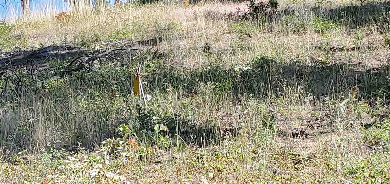 190-xx North Holcomb Road Mead, WA 99021 - Photo 15 of 16
