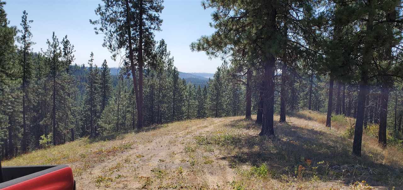 190-xx North Holcomb Road Mead, WA 99021 - Photo 5 of 16