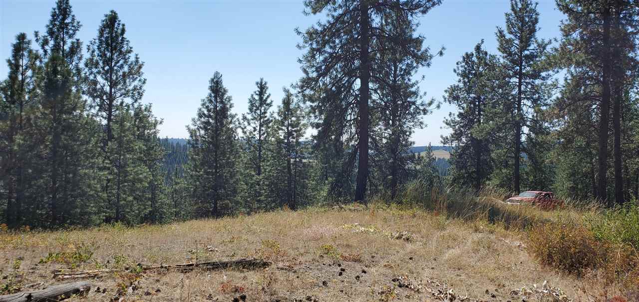 190-xx North Holcomb Road Mead, WA 99021 - Photo 6 of 16