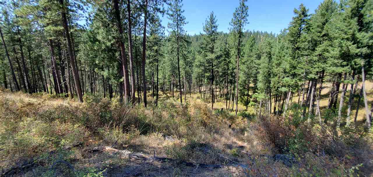 190-xx North Holcomb Road Mead, WA 99021 - Photo 7 of 16