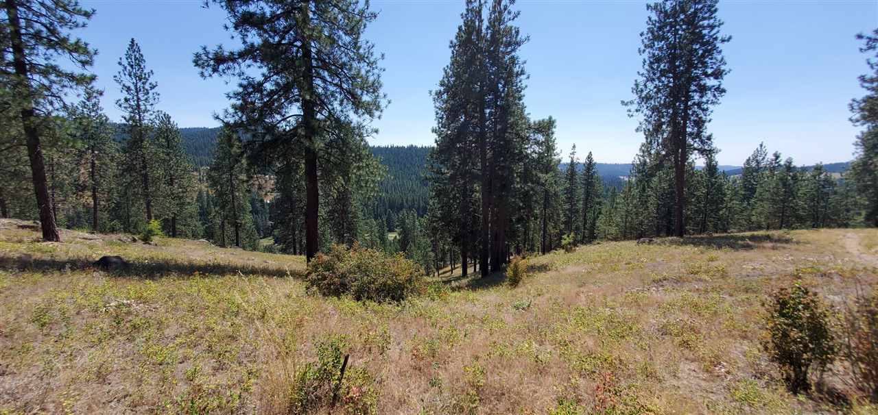 190-xx North Holcomb Road Mead, WA 99021 - Photo 8 of 16