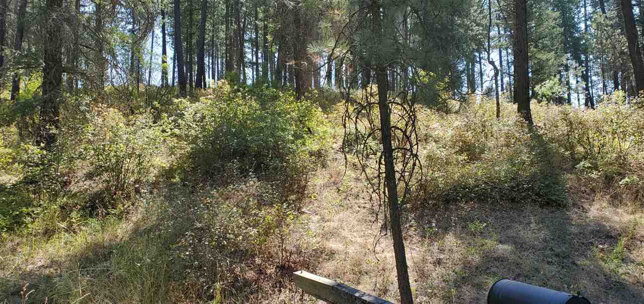 190-xx North Holcomb Road Mead, WA 99021 - Photo 10 of 16