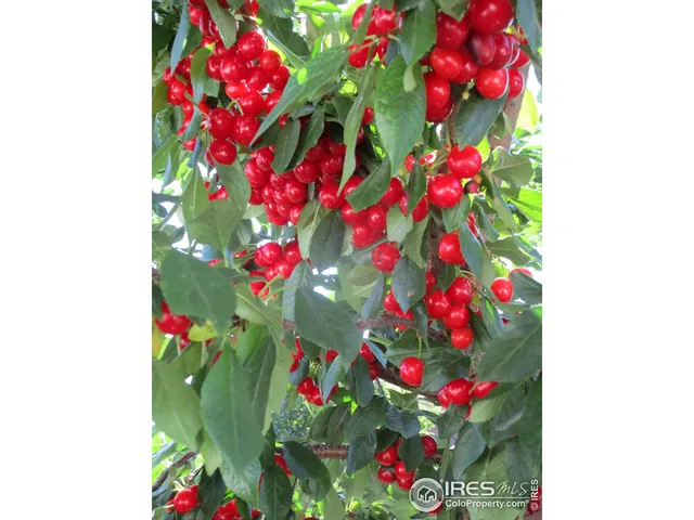 $515,000 | 800 Gateway Park Lane, Berthoud, CO 80513