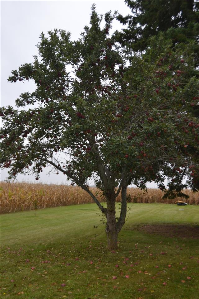 1688 East Whitefeather Road Pinconning, MI 48650 - Photo 8 of 25