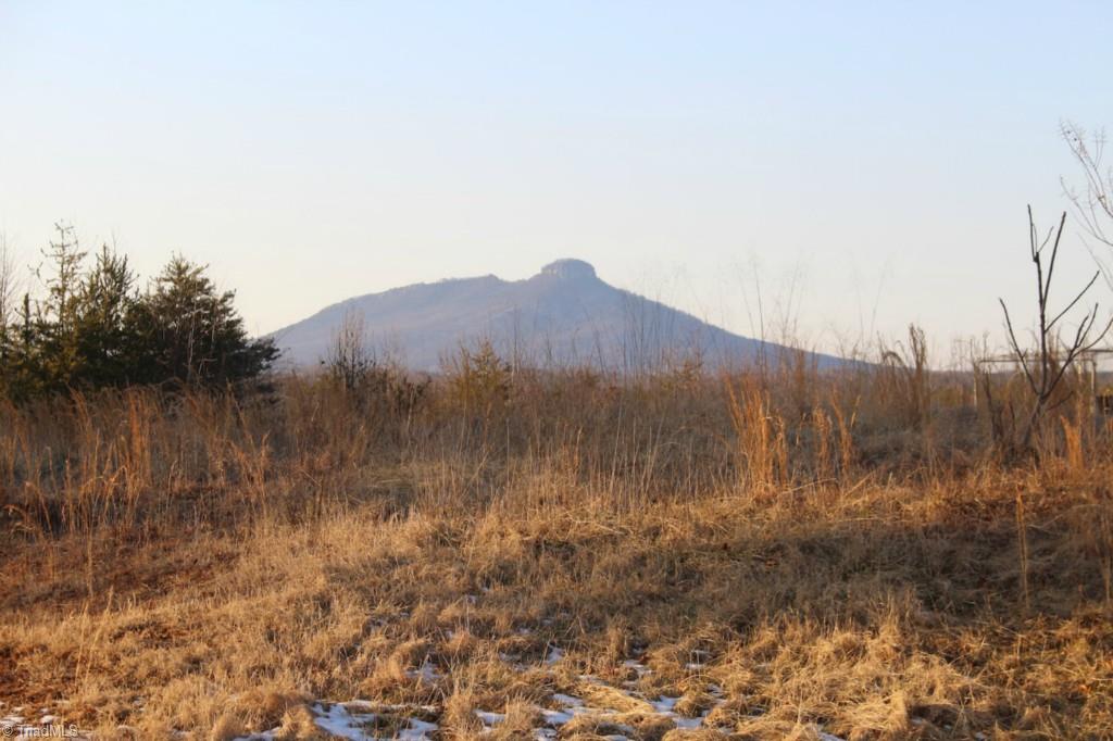 1353 Rierson Road Tobaccoville, NC 27050 - Photo 2 of 12 Pilot Mountain Views from front porch