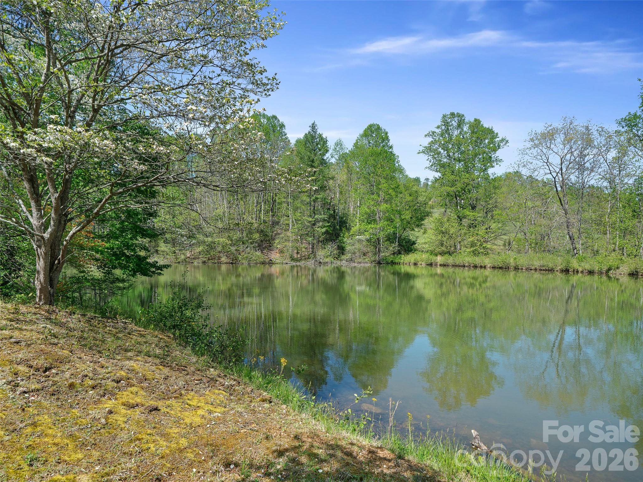376 Hoot Owl Road Spruce Pine, NC 28777 - Photo 26 of 30