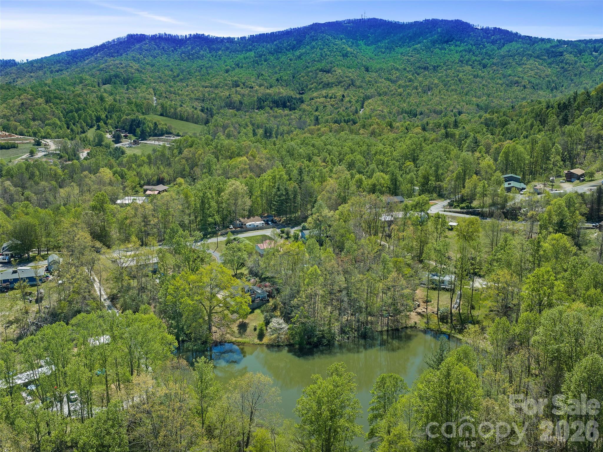 376 Hoot Owl Road Spruce Pine, NC 28777 - Photo 29 of 30