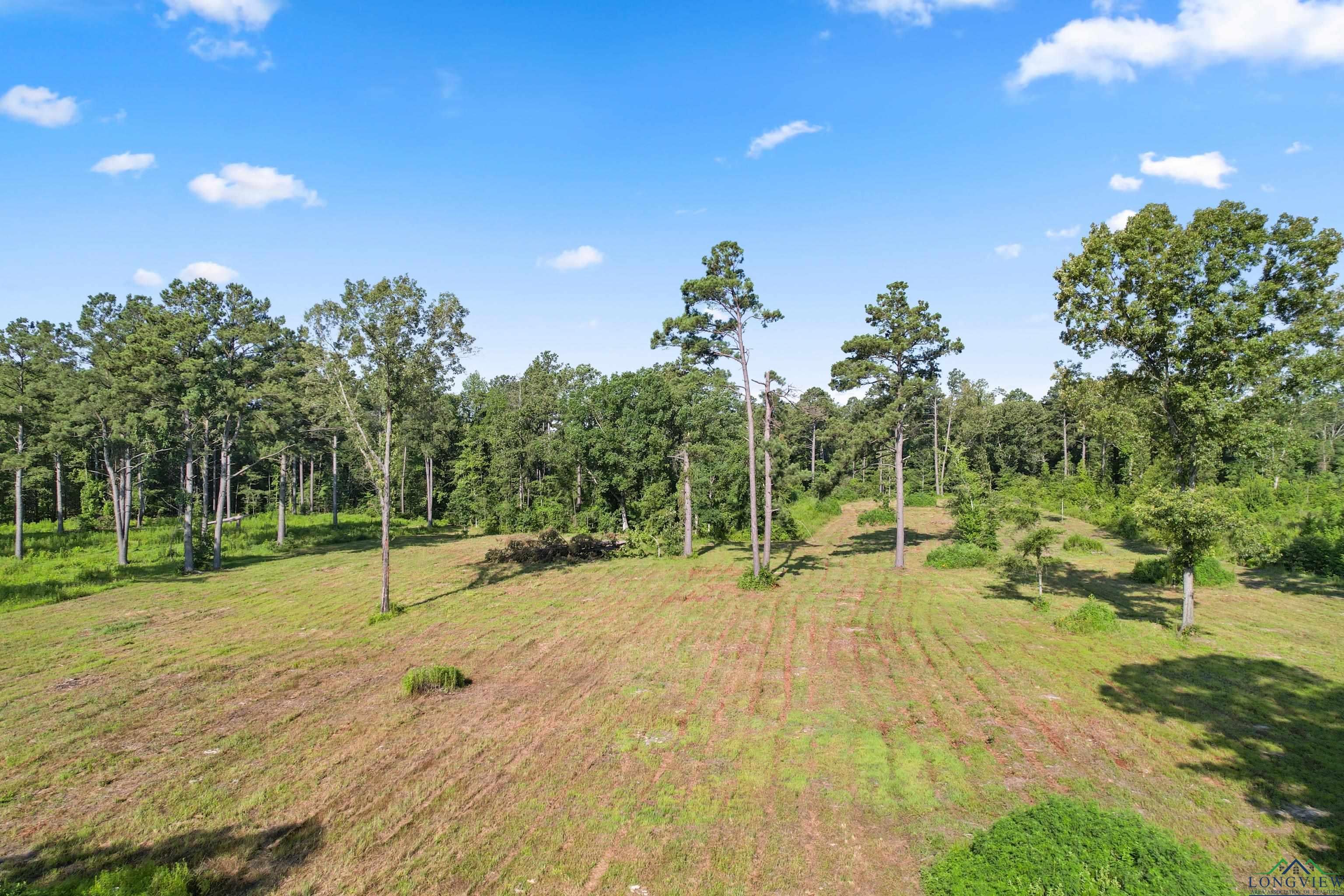 7355 Clematis Road Gilmer, TX 75644 - Photo 1 of 9 Gallery Image 1