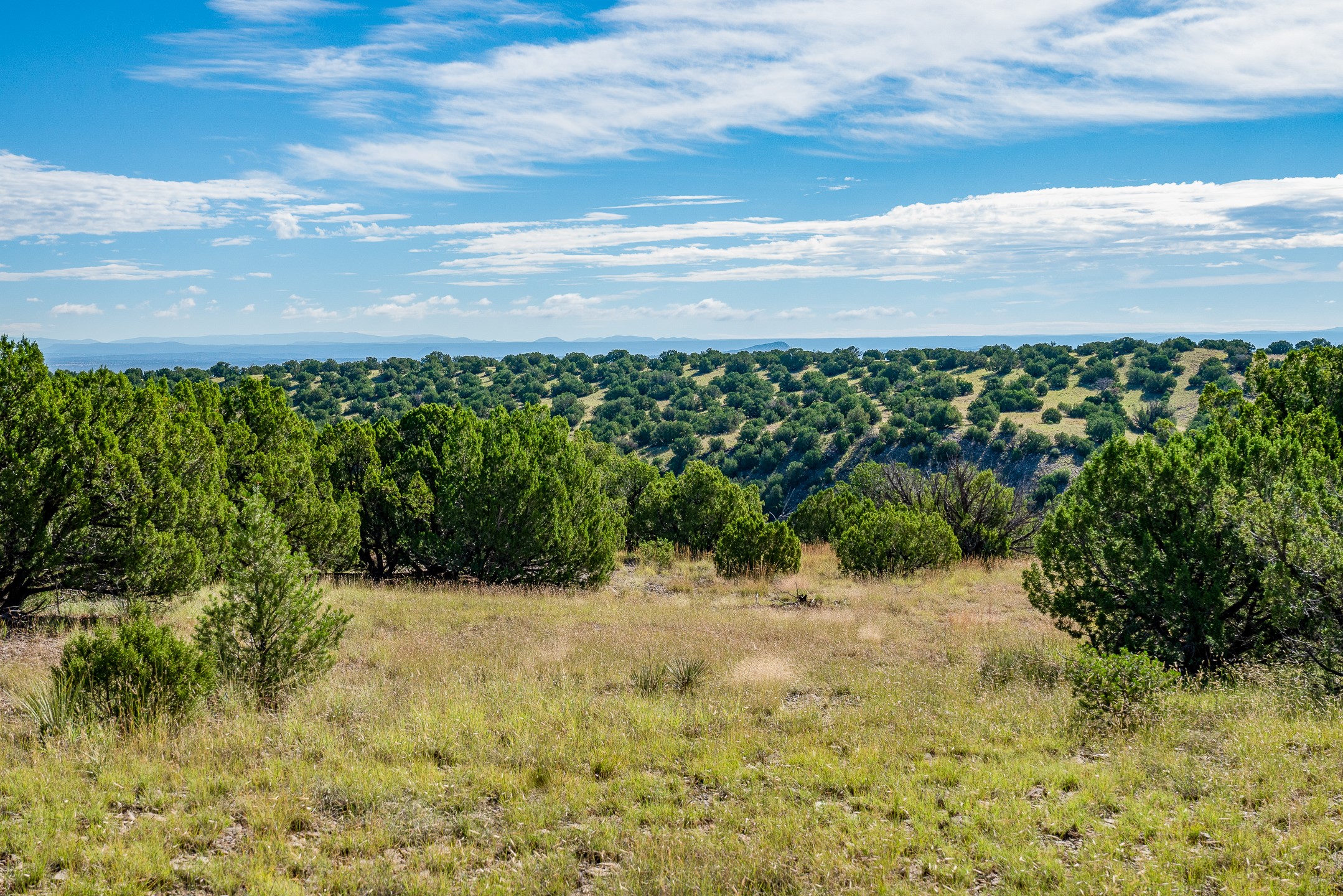 95 Grenfell Ranch Road Cerrillos, NM 87010 - Photo 28 of 47