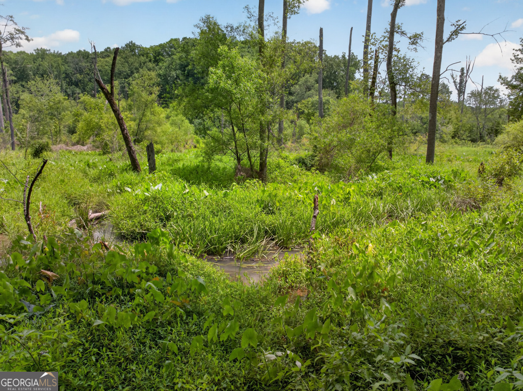 365 Nunnally Farm Road Monroe, GA 30655 - Photo 95 of 99