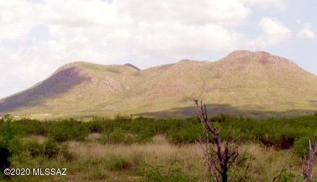 3662 Doe Ranch Road, Unit 38 Pearce, AZ 85625 - Photo 42 of 50