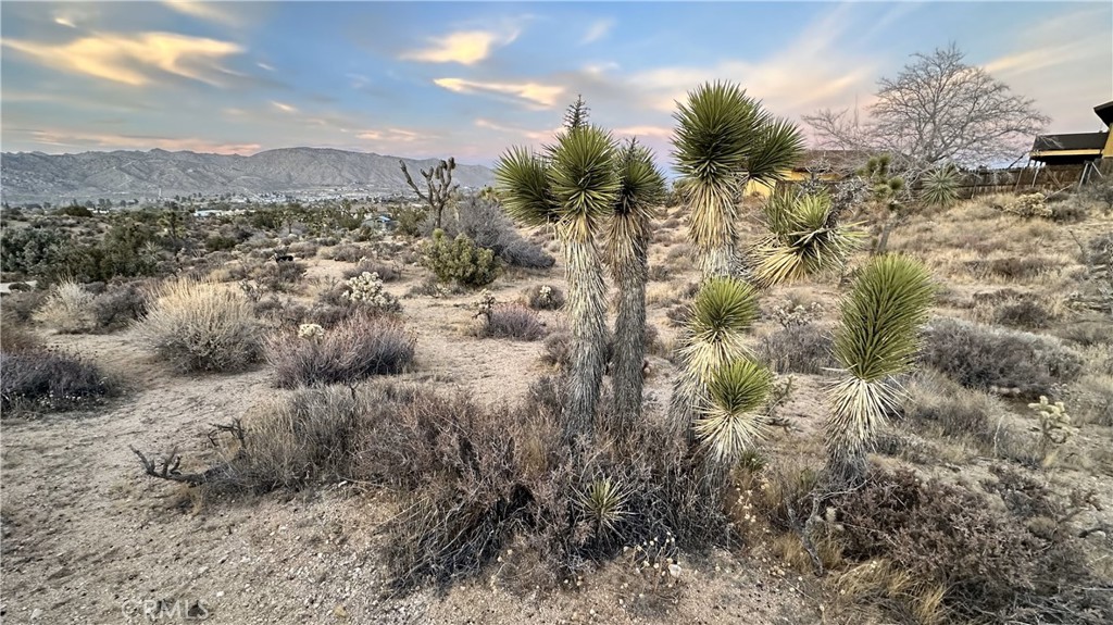 55370 Bunny Road Yucca Valley, CA 92284 - Photo 3 of 7